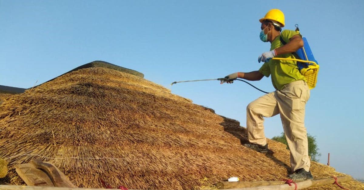Cape Reed Fireshield Application