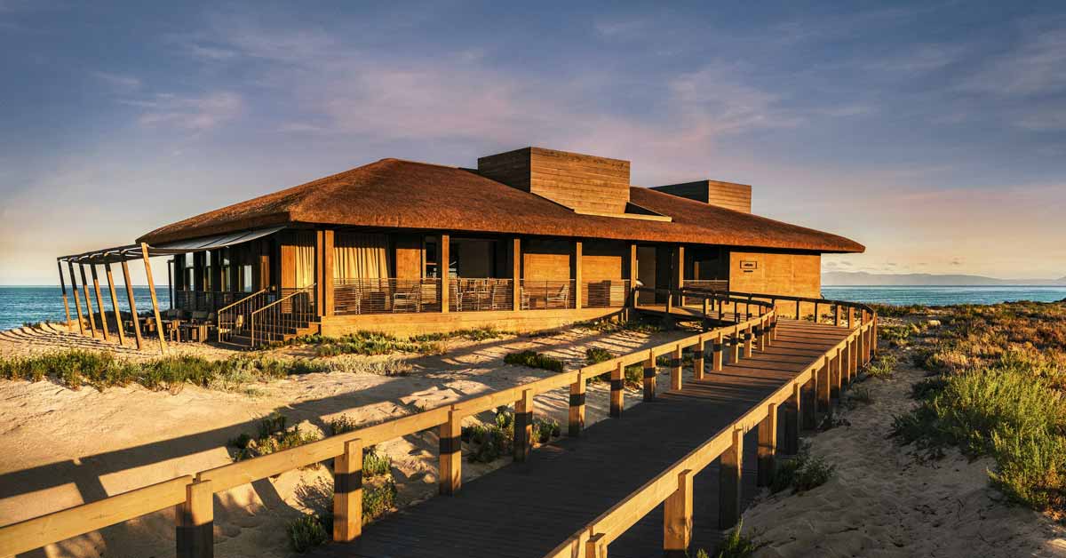 Cape Reed International Welcome