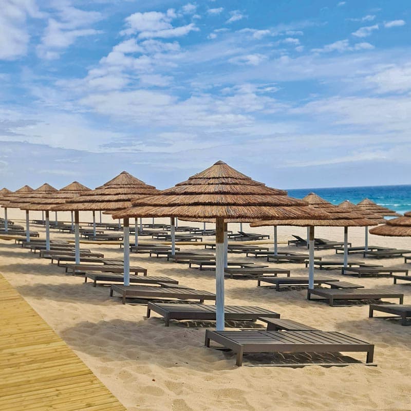 Cape Reed Thatch Umbrella