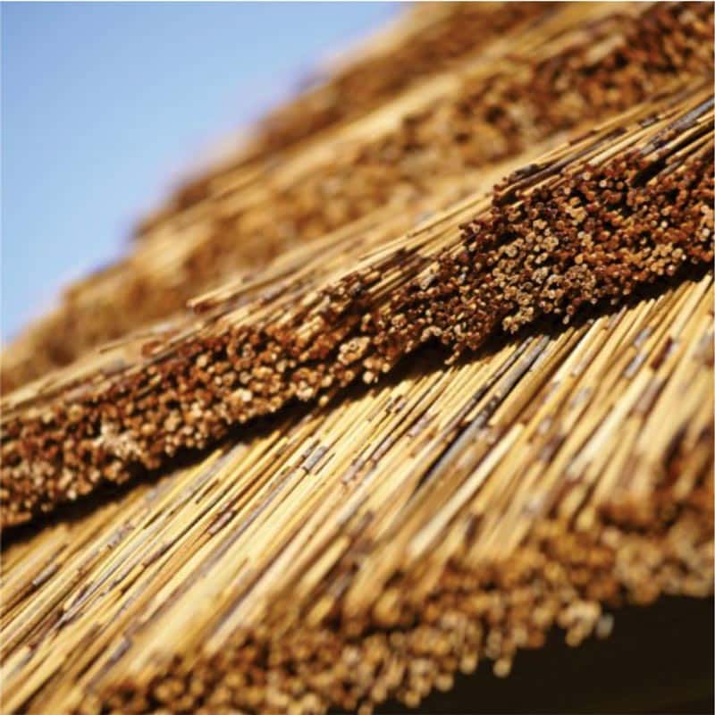Thatch Tiles
