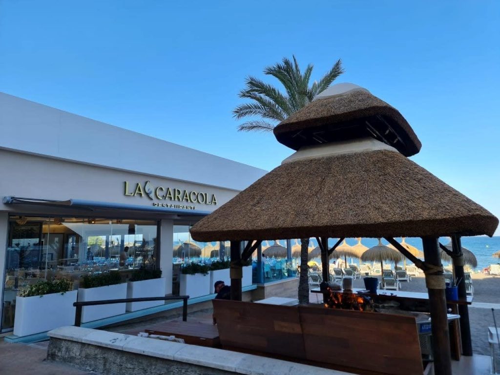 The natural beauty of a thatched roof chiringuito crafted by Cape Reed, creating a relaxed yet stylish atmosphere by the sea.